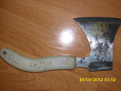 Прикрепленное изображение: DSCI0225.JPG